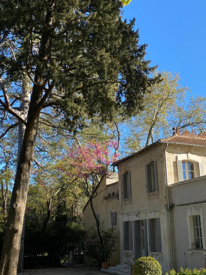 Ermitage Notre Dame De Vacquieres Bed & Breakfast Noves Dış mekan fotoğraf