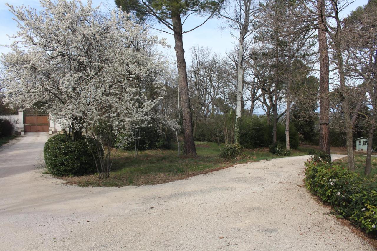 Ermitage Notre Dame De Vacquieres Bed & Breakfast Noves Dış mekan fotoğraf